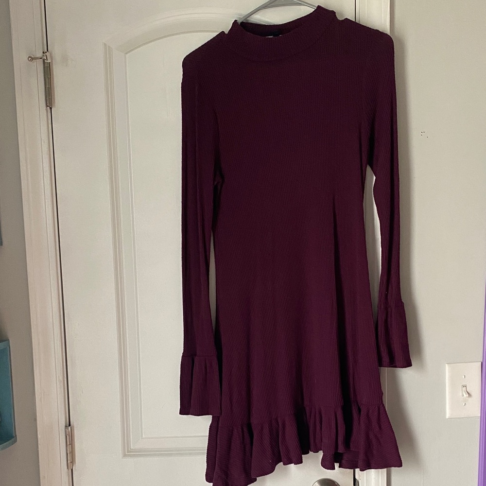 Express Plum Knit Sweater